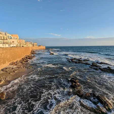 Amicka Alghero